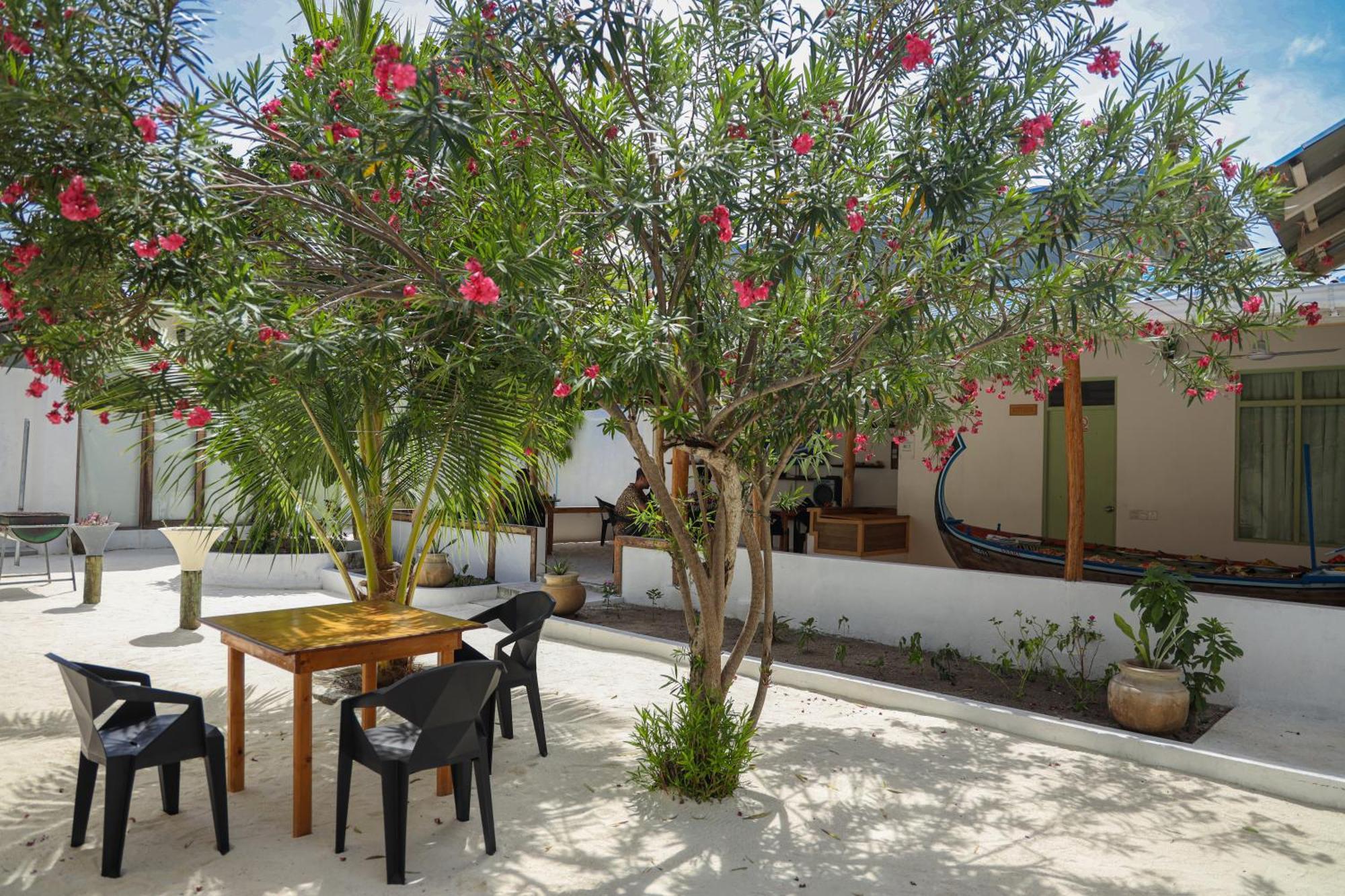 Shifa Lodge Maldives Feridhoo Exterior foto